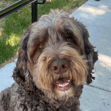 Charlie