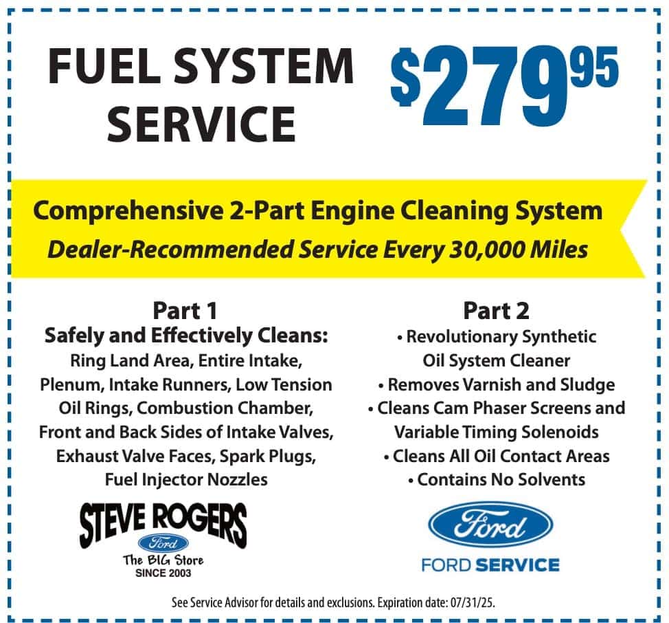 Fuel System Service