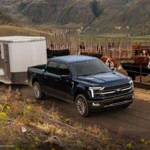 2026 Ford F-150 Towing a Utility Trailer around the Cattle Farm