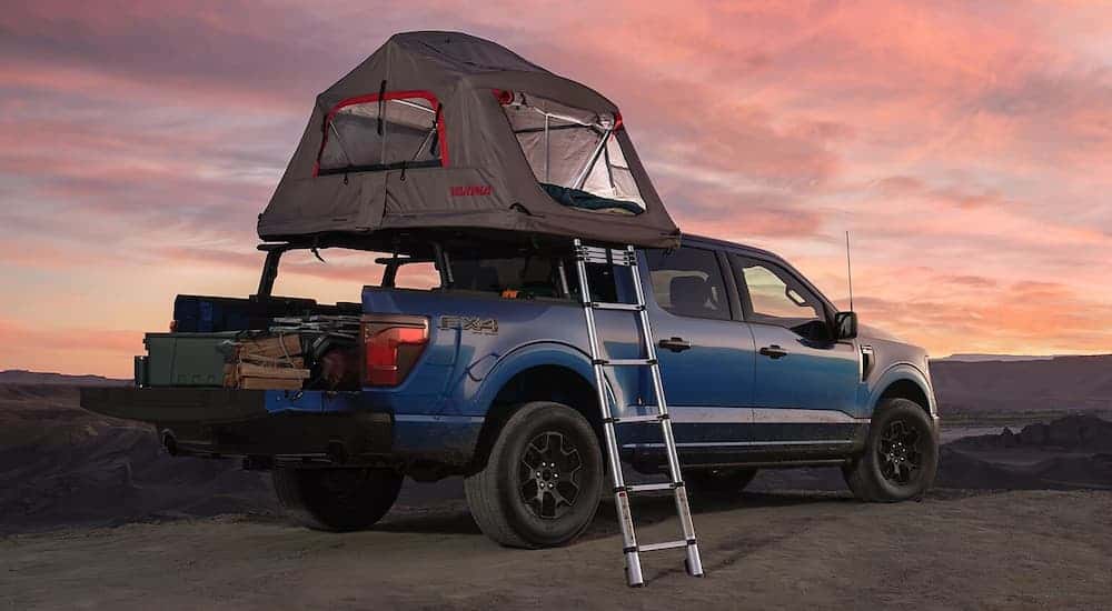 Rear view of a blue 2025 Ford F-150 STX parked with a tent mounted on its roof.