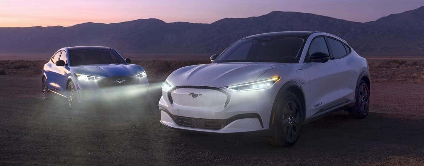A blue and a white 2023 Ford Mustang Mach-E parked off-road at night.