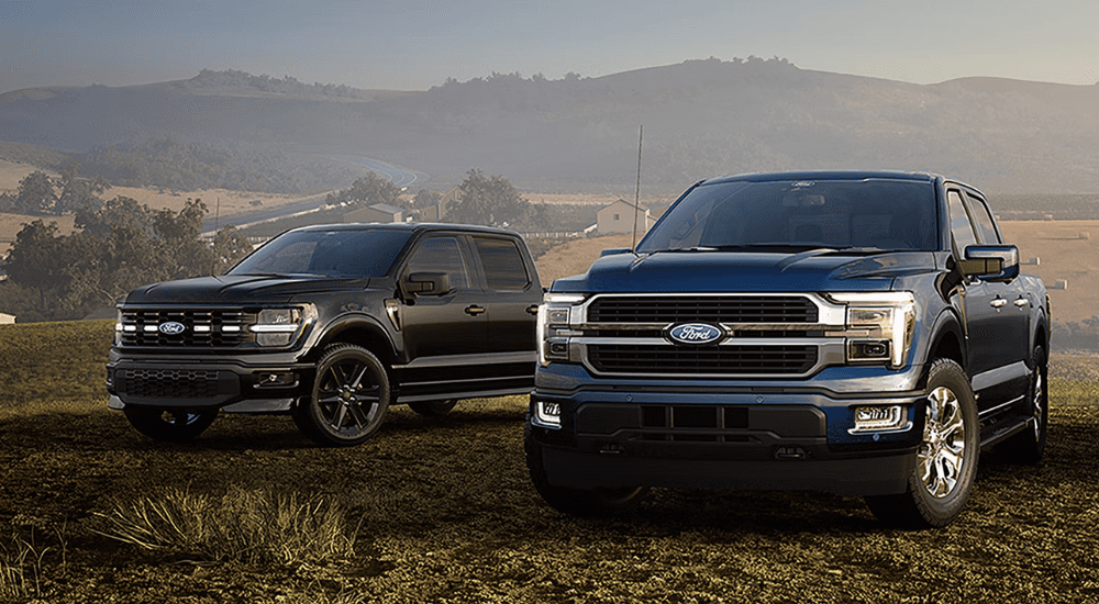 A blue and a black 2026 Ford F-150s parked off-road