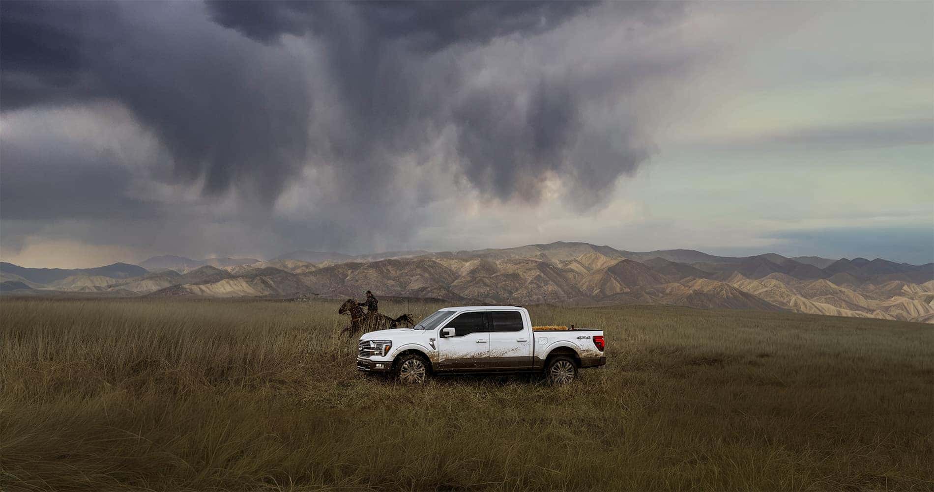 2026 Ford F-150 Dimensions​