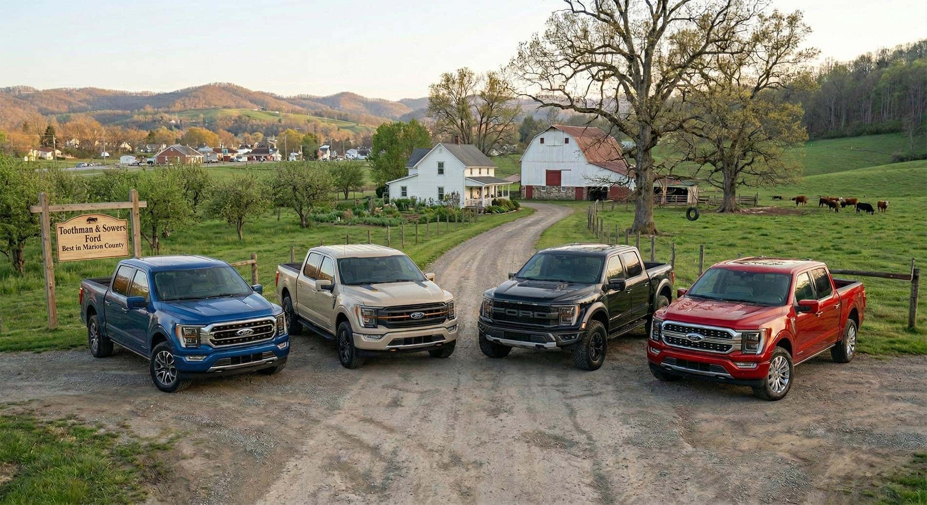 Four Ford F-150 trucks parked next to each other in front of a white farm