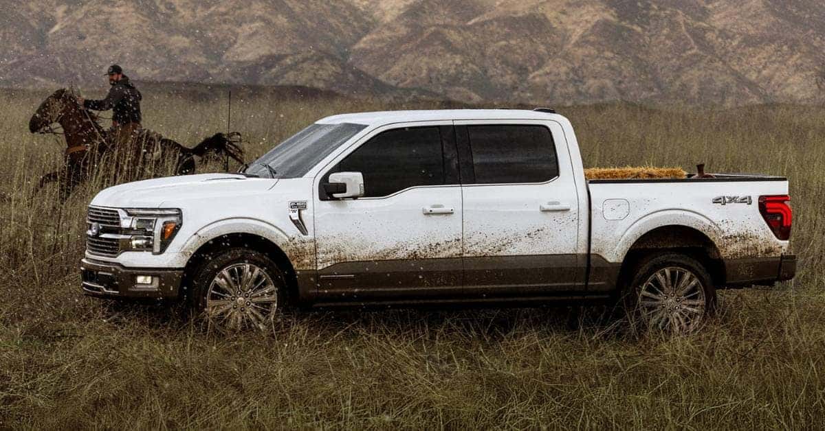 Ford-F-150-in-the-Mud