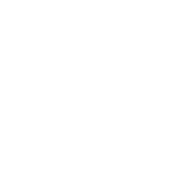 truck icon