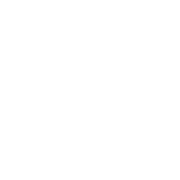 wrench icon