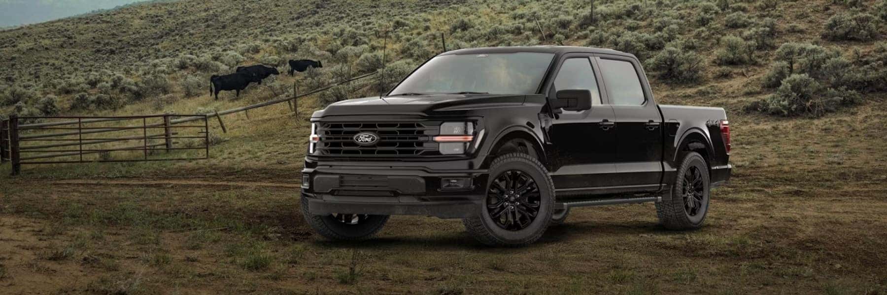 Ford F-150 XLT Black Exterior