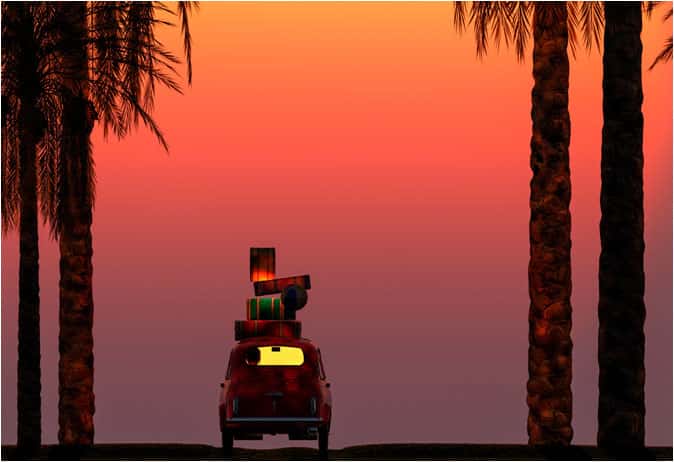 A car driving through trees at sunset