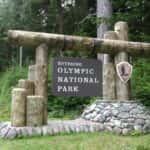 Olympic National Park Sign