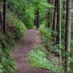 A hiking path on a hiking trail near Spokane, WA