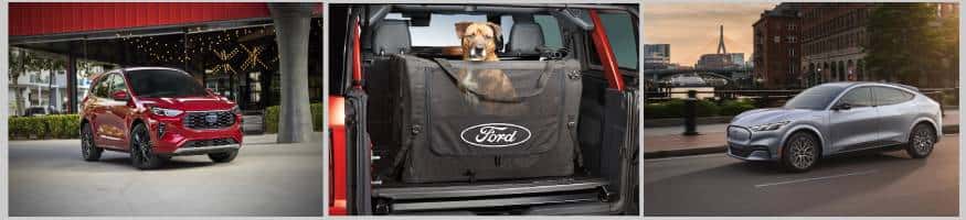 Best Ford Vehicles for Pet Owners Banner