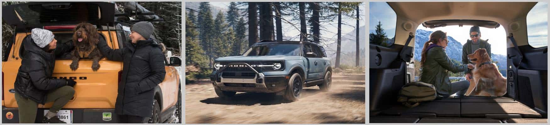 Dog friendly Ford SUVs