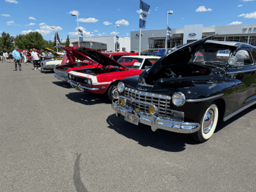 Classic cars with open hoods, including a black coupe and red Camaro, lined up for a car show outside the Wendle dealership.