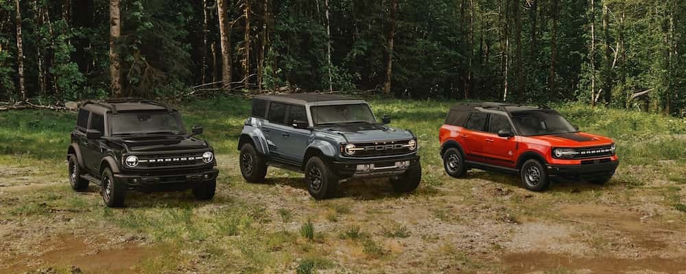 Ford Bronco SUV family