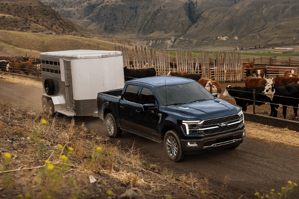 A dark blue Ford pickup truck towing a silver livestock trailer down a dirt road past a cattle ranch with mountains in the background.