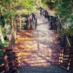 hiking trail in huntsville, alabama